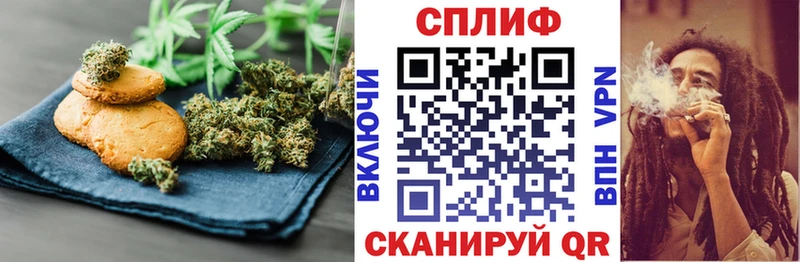 дарнет шоп  Щёкино  блэк спрут   Cannafood конопля 